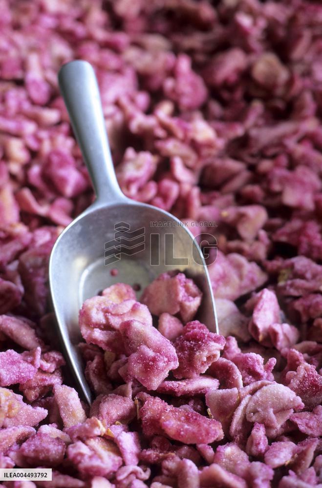 Illustration - Provence Food