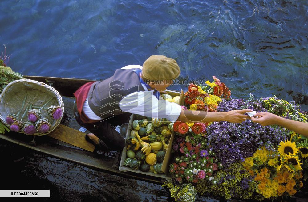 Illustration - Provence Food