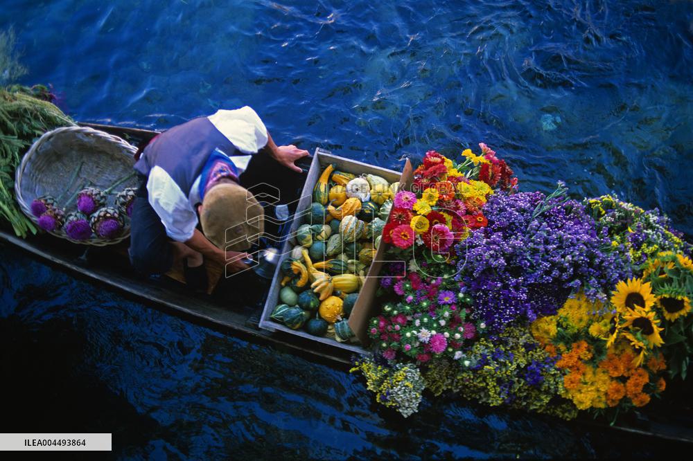 Illustration - Provence Food