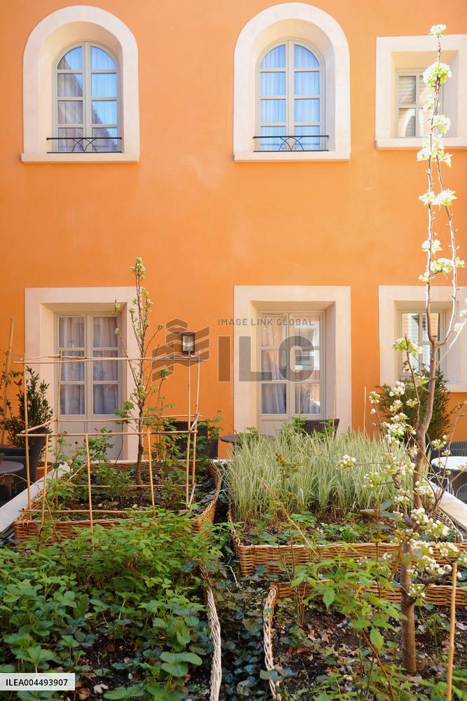 Illustration - Provence