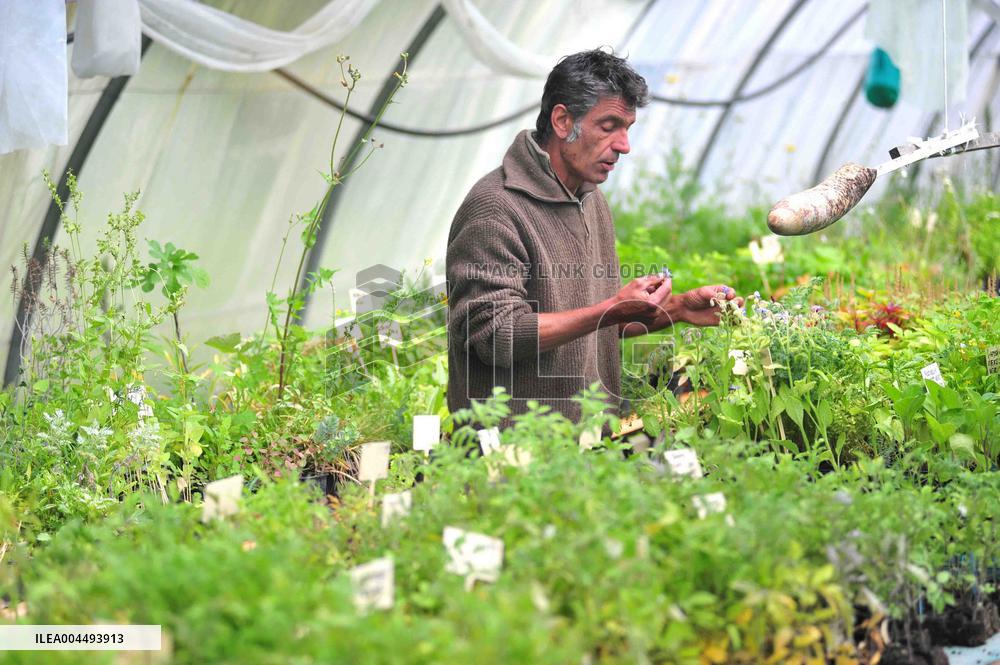 Illustration - Provence