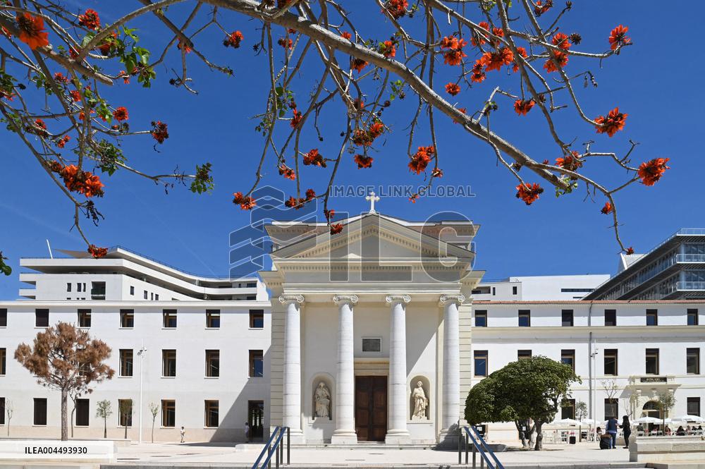 Illustration - Provence