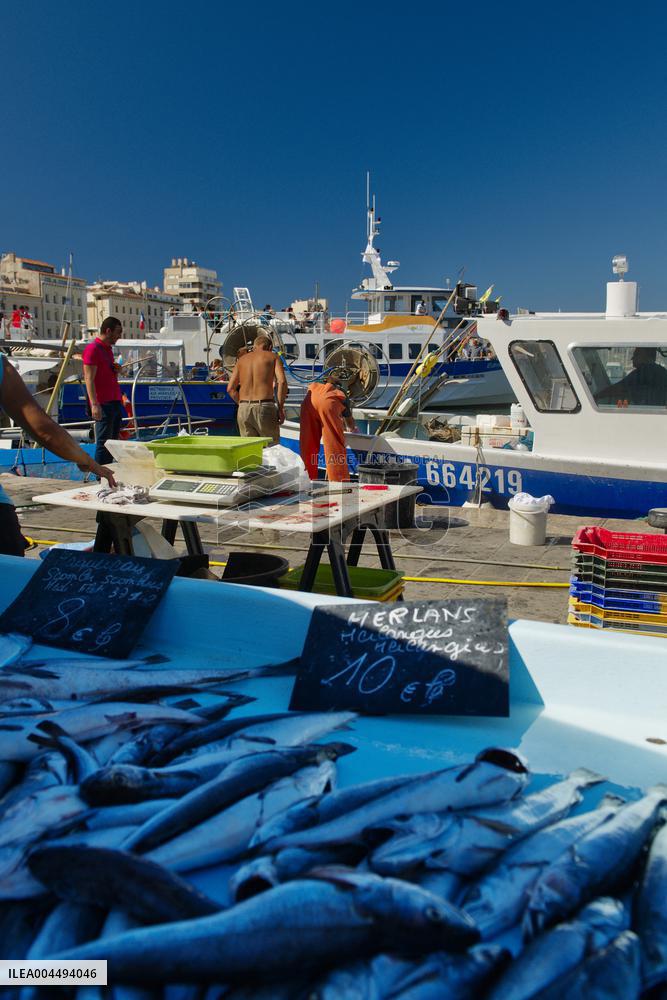 Illustration - Marseille