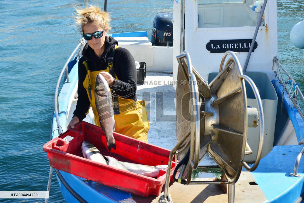 Illustration - Marseille