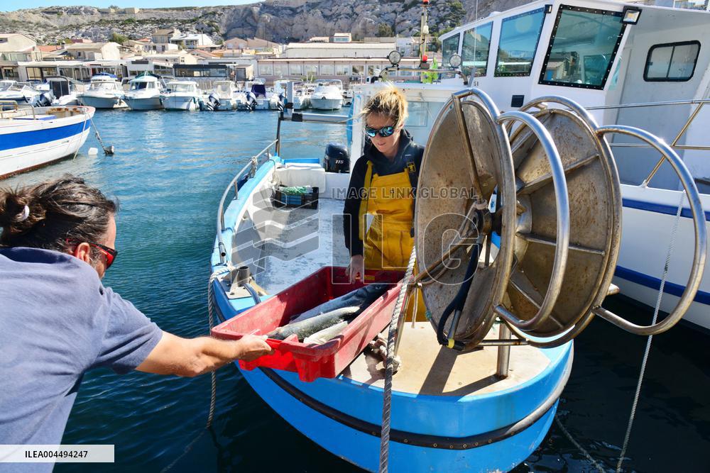 Illustration - Marseille