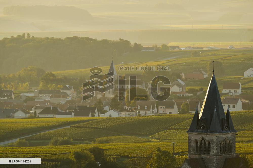 Illustration - Vin Champagne