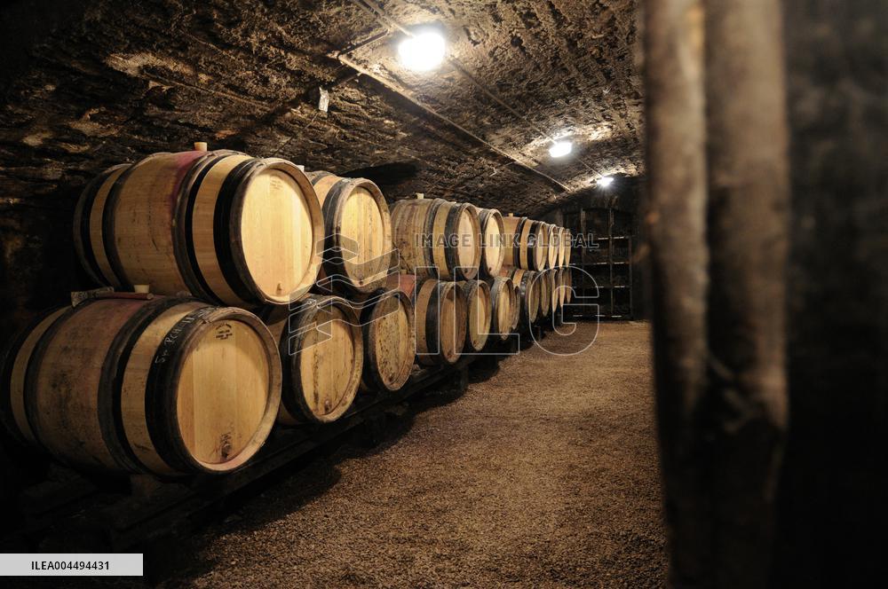 Illustration - Vin Bourgogne