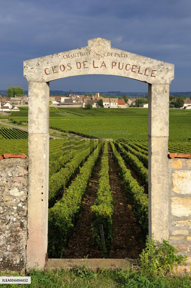 Illustration - Vin Bourgogne