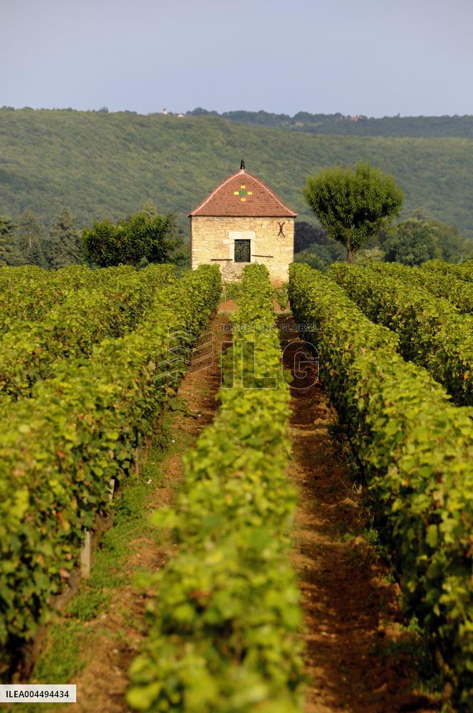 Illustration - Vin Bourgogne