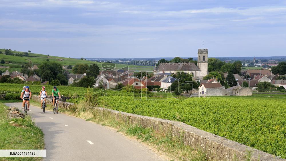 Illustration - Vin Bourgogne