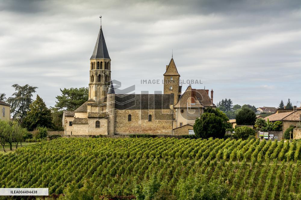 Illustration - Vin Bourgogne