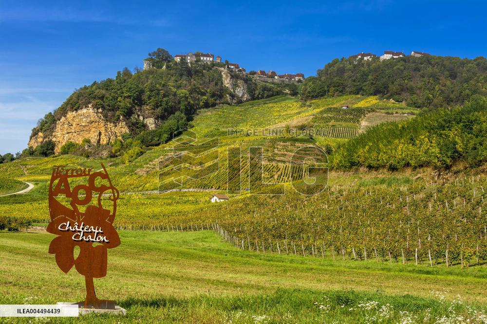 Illustration - Vin Bourgogne