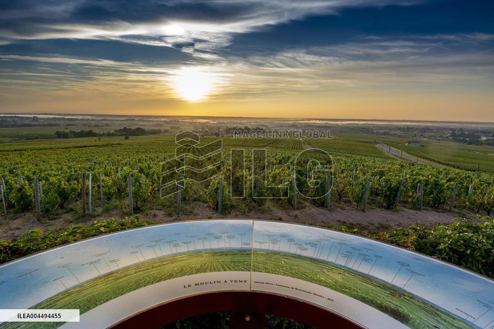 Illustration - Vin Bourgogne