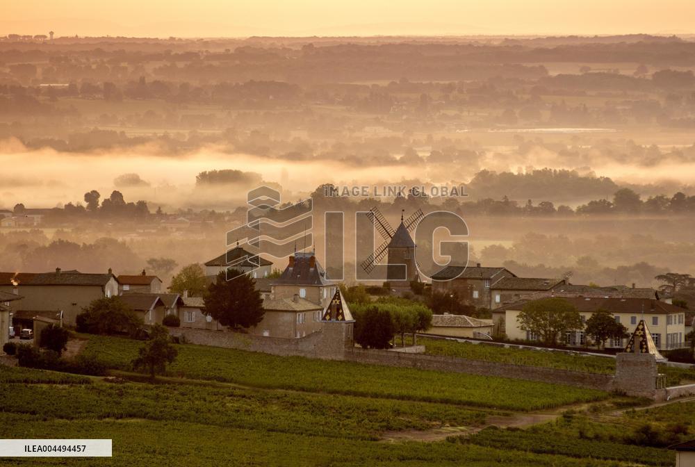 Illustration - Vin Bourgogne