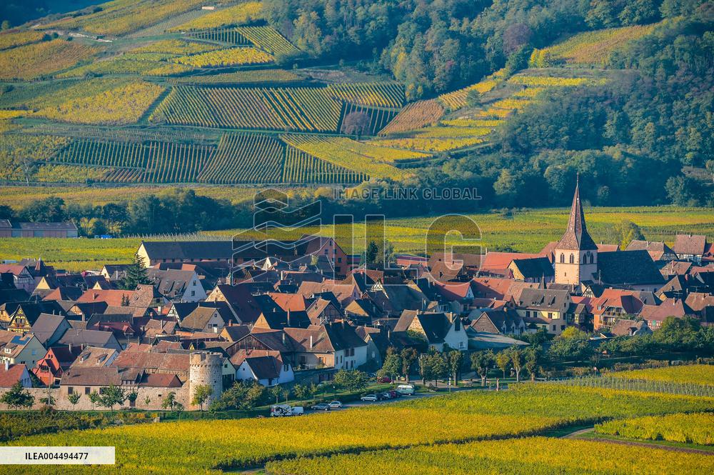 Illustration - Vin Alsace