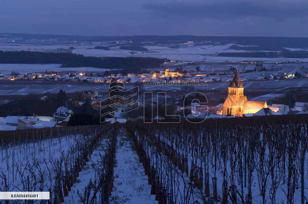 Illustration - Vin Champagne