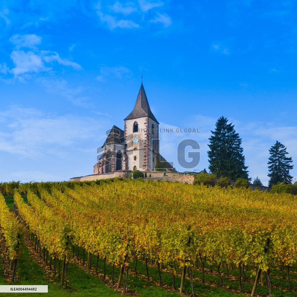 Illustration - Vin Alsace