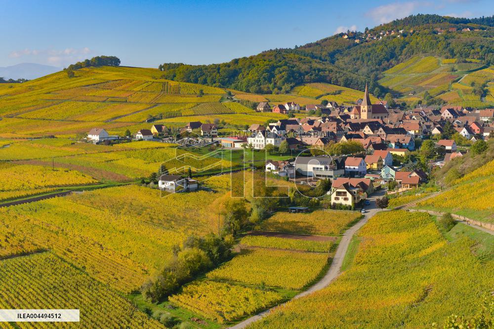 Illustration - Vin Alsace