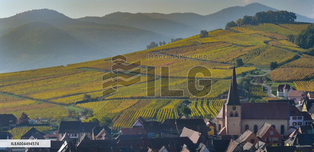 Illustration - Vin Alsace