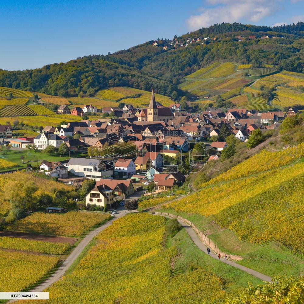 Illustration - Vin Alsace