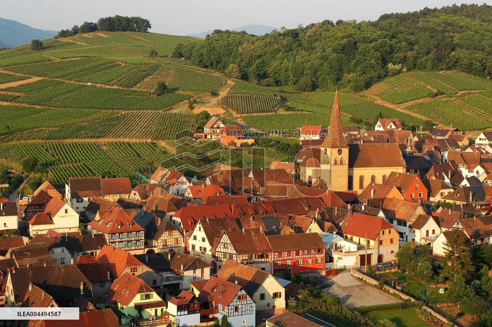 Illustration - Vin Alsace