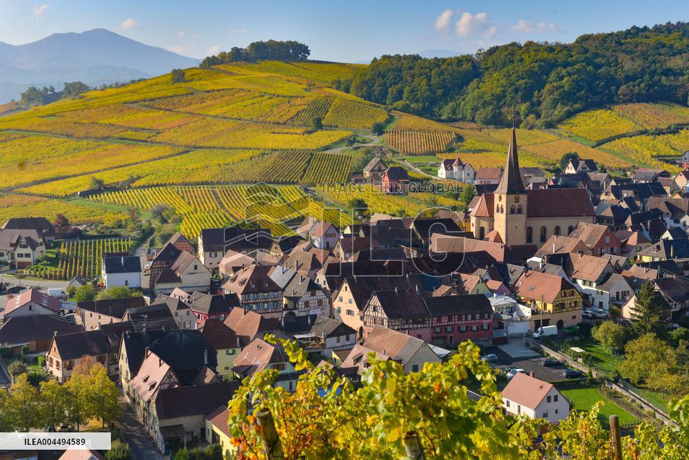 Illustration - Vin Alsace