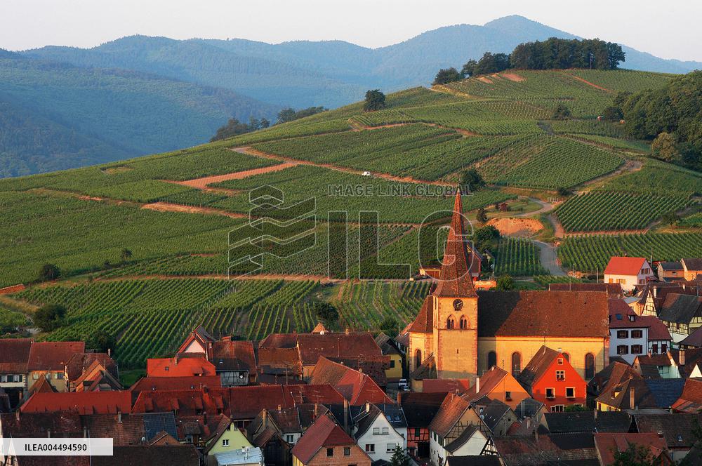 Illustration - Vin Alsace