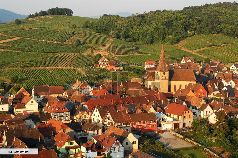Illustration - Vin Alsace