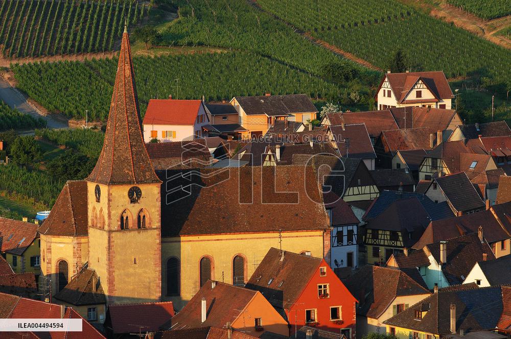 Illustration - Vin Alsace