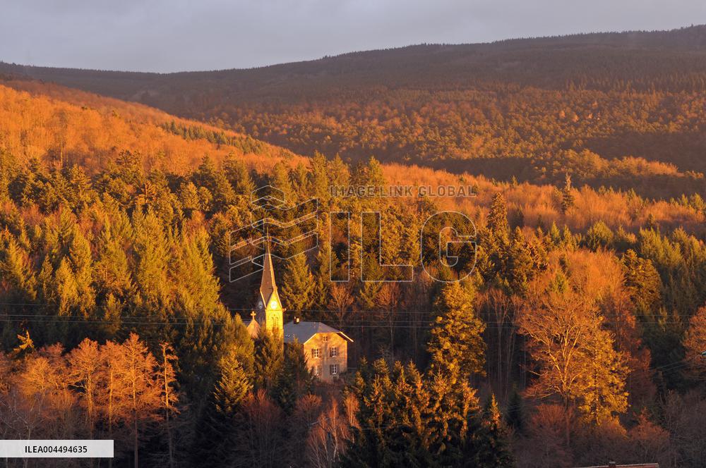 Illustration - Vin Alsace