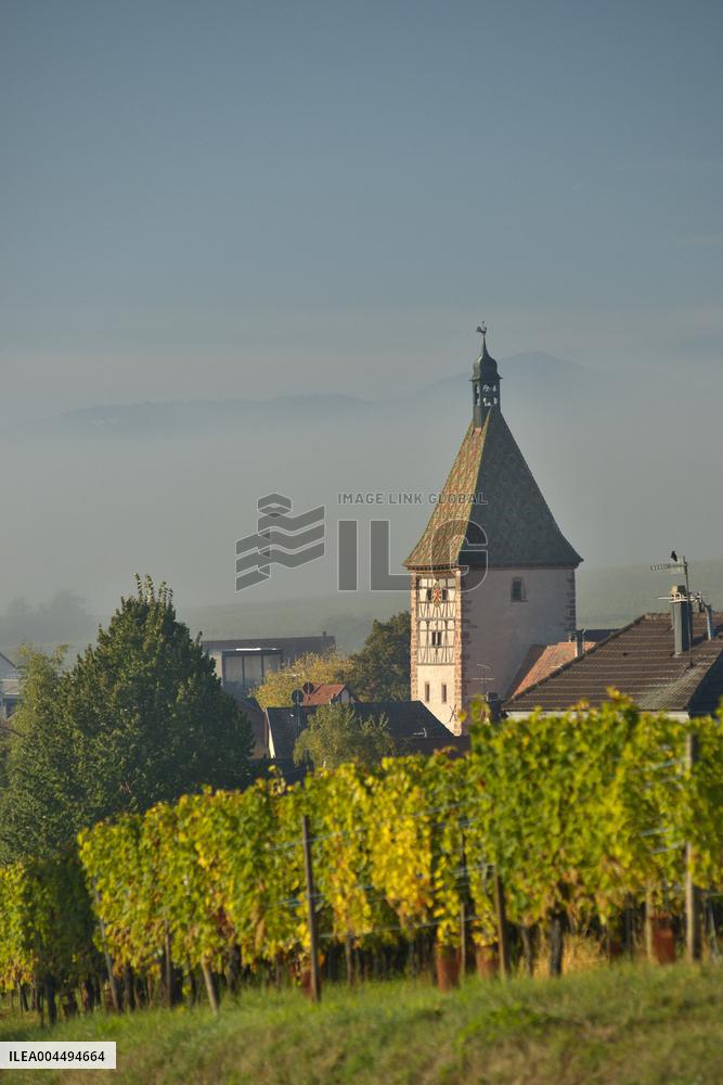 Illustration - Vin Alsace