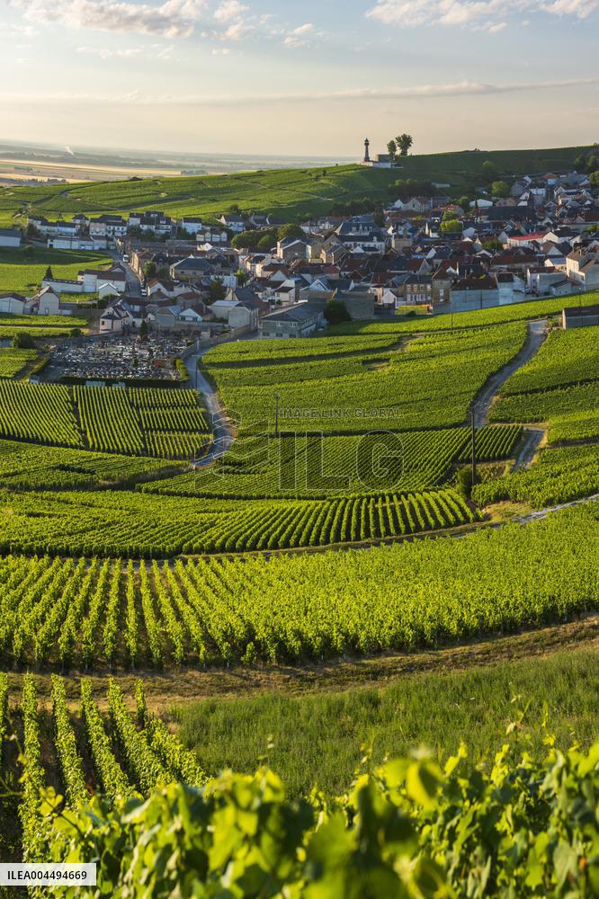 Illustration - Vin Alsace