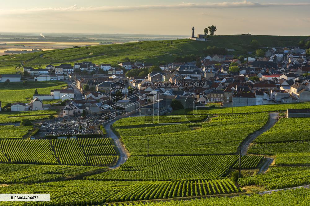 Illustration - Vin Alsace