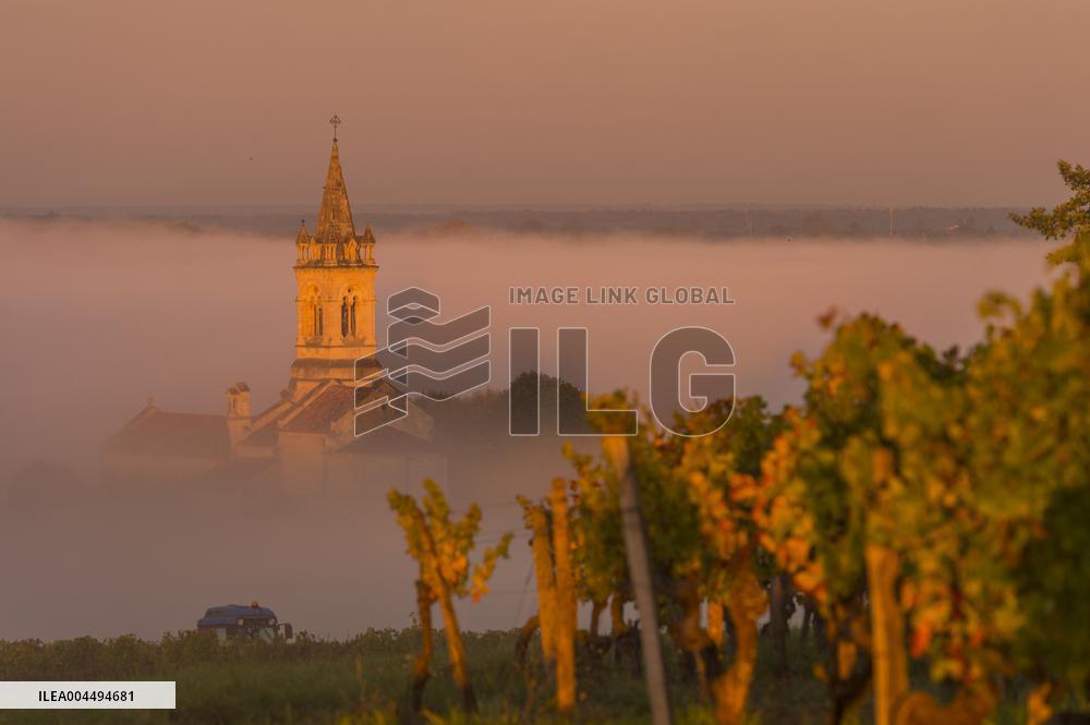 Illustration - Vin Gironde