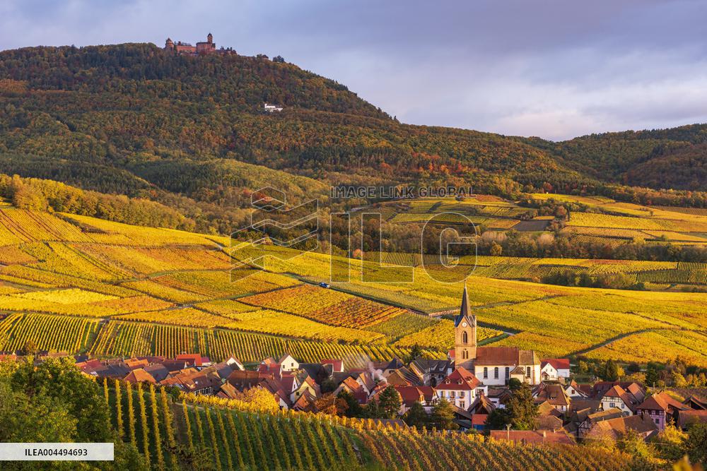 Illustration - Vin Alsace