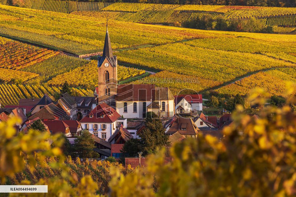 Illustration - Vin Alsace