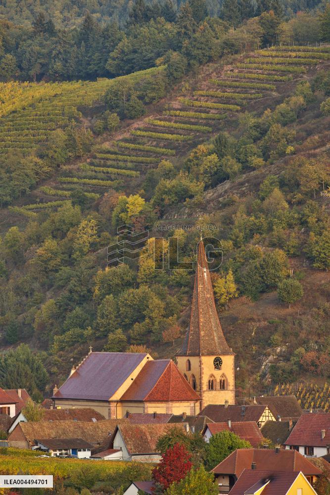 Illustration - Vin Alsace