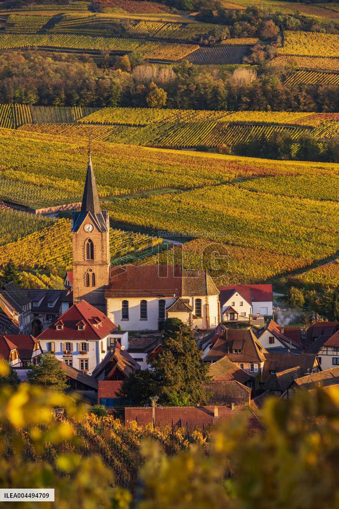 Illustration - Vin Alsace