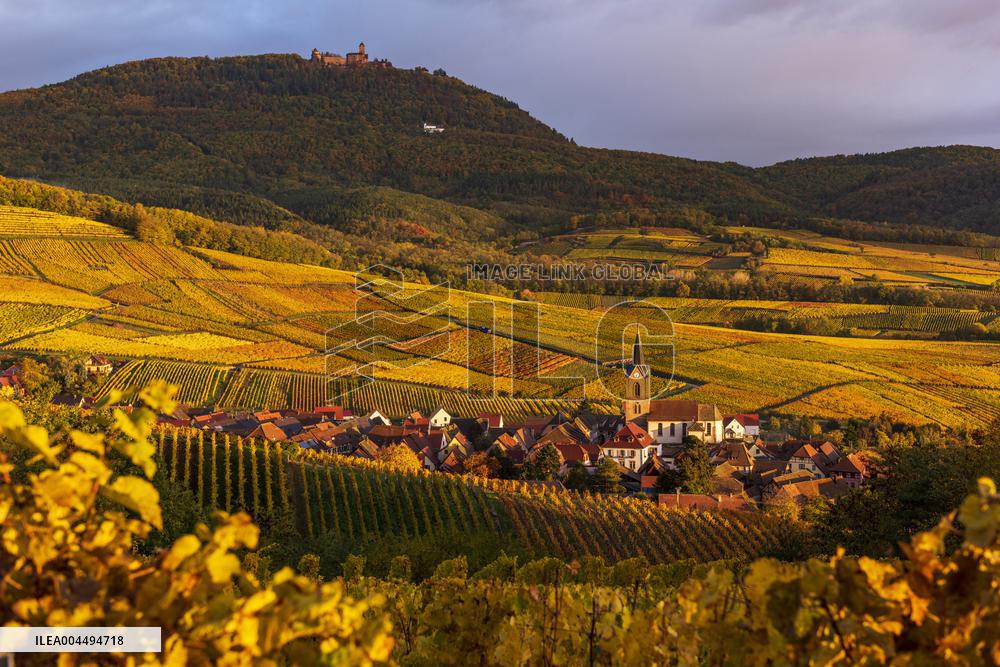 Illustration - Vin Alsace