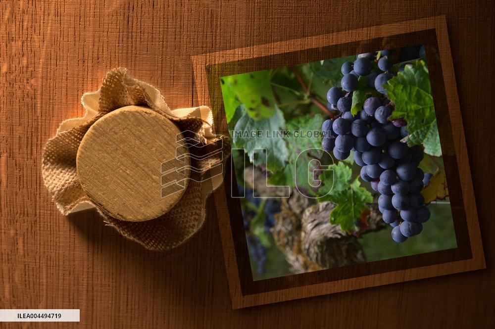 Illustration - Vin Gironde