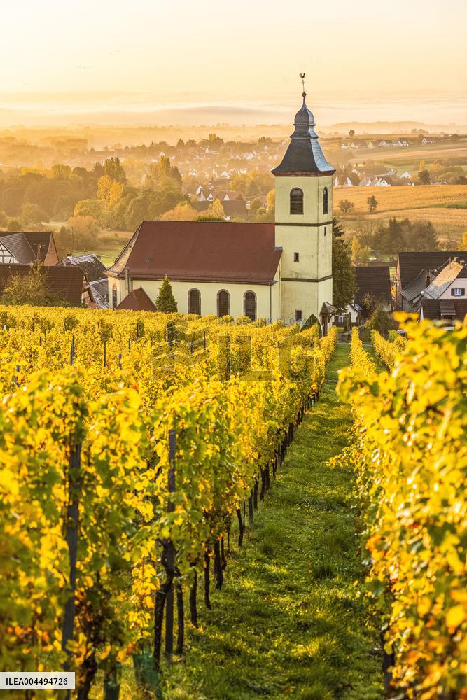 Illustration - Vin Alsace