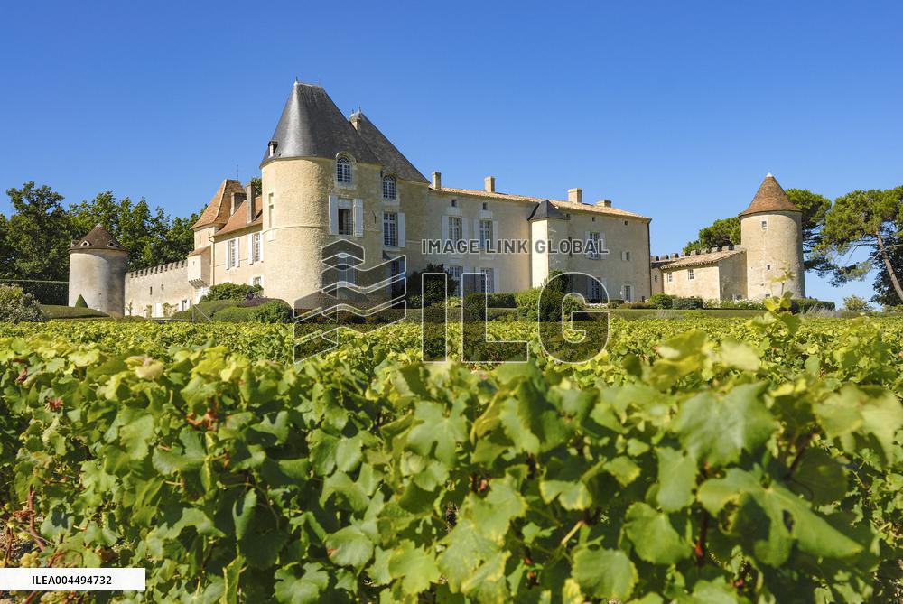 Illustration - Vin Gironde