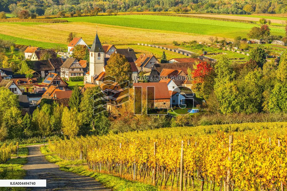 Illustration - Vin Alsace