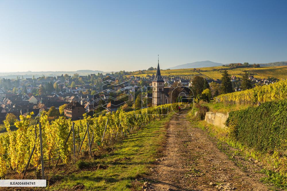 Illustration - Vin Alsace