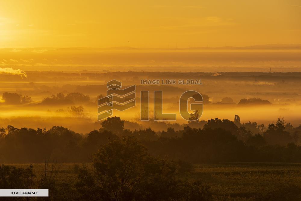 Illustration - Vin Alsace