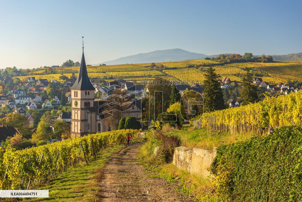 Illustration - Vin Alsace