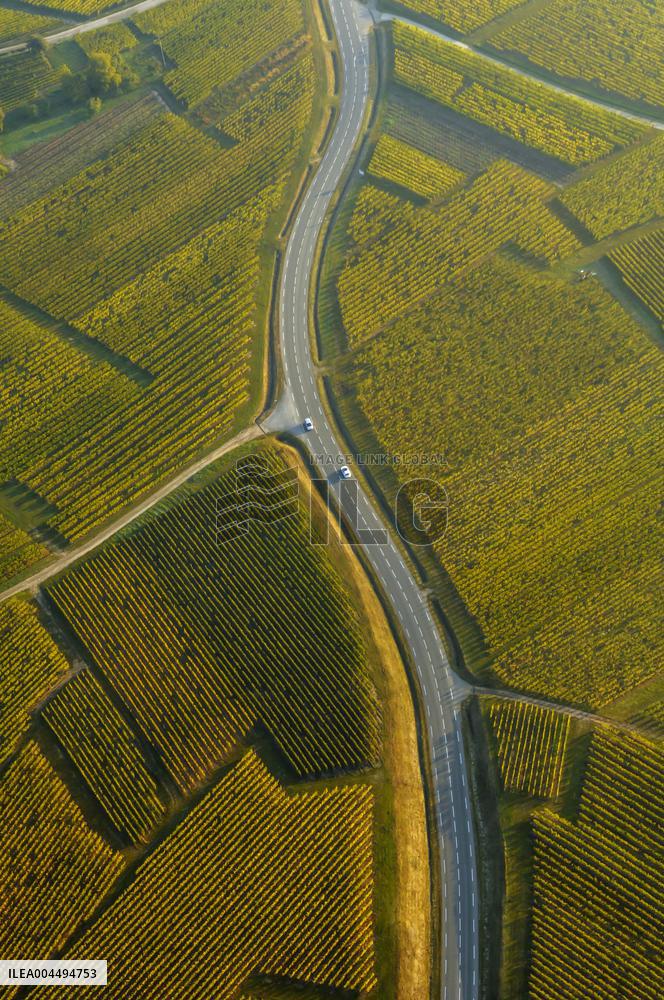 Illustration - Vin Alsace