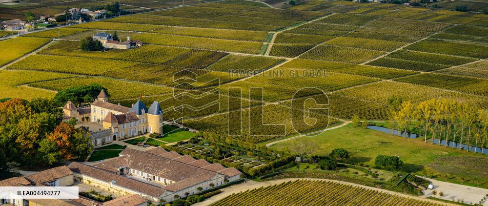 Illustration - Vin Gironde