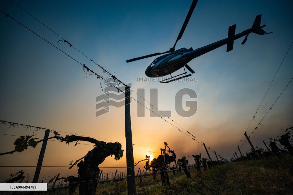 Illustration - Vin Gironde