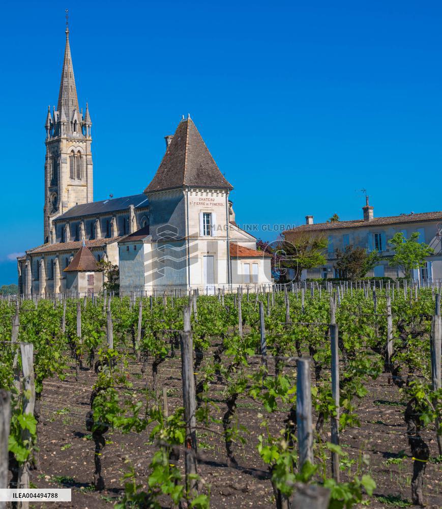 Illustration - Vin Gironde